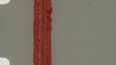 Bu yakın çekim 8 mm 'lik ön çekim, soluk bir arkaplan üzerinde kalın kırmızı harfler ve dikey çizgiler içerir. Nostaljik görüntüyü biraz daha geliştiren desenli ve sıkıntılı bir görüntüdür.