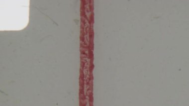 8mm 'lik bir filmde beyaz zemin üzerinde kırmızı bir dikey çizgi ve pürüzlü, desenli metin gösterilir, klasik geri sayımlar veya makara lideri işaretleri çağrıştırır