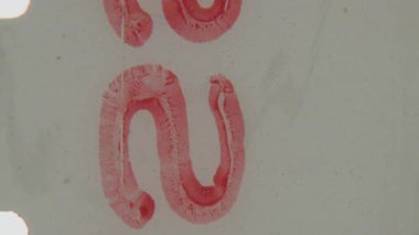 Bu 8 mm 'lik ön rulo klipte dinamik, dalgalı kırmızı metin ve dokulu beyaz arkaplan karşısında dikey bir şerit, sıvı benzeri bir dokuyu gösteren el yazısı veya boyalı harfler yer almaktadır.