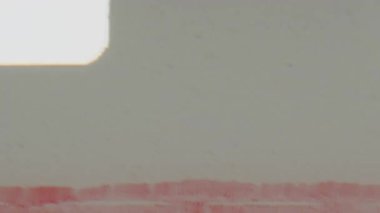 8mm 'lik film şeridinin kenarındaki akıcı, dokulu kırmızı-pembe şeritlerin yakın plan çekimi, burada organik doku ve ince renk varyasyonları antika analog filmin nostaljik hissini uyandırıyor.