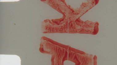 Canlı kırmızı desenli bir şeritin detaylı bir çekimi ve daha hafif arkaplanlı 8 mm 'lik bir filmin ön çekimine karşı koyulmuş kalın harfler, organik, biraz düzensiz bir yüzey, dokunsal, eski bir his ekliyor.
