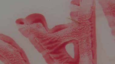 Hareketli bir 8 mm film liderinin ayrıntılı görünümü belirgin bir kırmızı dikey çizgi ve bir ışık arkaplanı karşısında saat yönünün tersine dönen metni gösterir