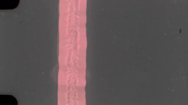 8 mm 'lik bir ön rulo klibinin yakın plan çekiminde, koyu renk film şeridinin ortasından aşağı doğru ilerleyen dikey pembe bir çizgi ve kalın bir metin yer alır.