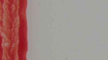 8mm 'lik bir ön çekim videosu çerçevenin büyük bir kısmını kaplayan parlak kırmızı şeritli ve koyu renkli bir metni görünür gri arkaplana karşı gösterir.