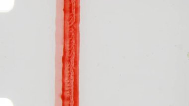 Bu 8 mm 'lik film öncesi klip, yumuşak bir metin üzerinde bulanık, biraz bulanık ve biraz odaksız bir metin tarafından çevrelenmiş, çerçevenin ortasında dikey olarak çalışan cesur, hafif desenli bir kırmızı çizgiyi içerir.