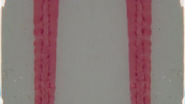 8 mm 'lik bir ön rulo klipte iki paralel dokulu kırmızı bant ve dikey çalışan bir metin dizisi içeren simetrik soyut bir şablon vardır.