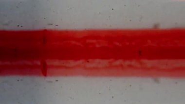 Klasik bir 8 mm film öncesi çerçeve, açık arkaplan karşısında simetrik, soyut çizgiler ve sıcak kırmızı tonlarda metinler sergiler