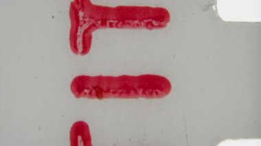 8 mm 'lik belirgin bir ön rulo film çerçevesi, kırmızı işaretin hafifçe düzensiz dokusuyla, merkezde dikey olarak çalışan koyu kırmızı bir şerit ve metin içerir.