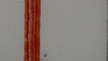 8 mm 'lik film öncesi klipte kalın, desenli kırmızı bir çizgi ve hafif kumlu, organik, neredeyse örgülü bir dokunun yer aldığı beyaz bir zemine karşı dikey olarak yerleştirilmiş metin sergileniyor.