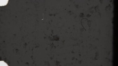 Bu 8 mm 'lik film ağırlıklı olarak koyu gri bir tona sahiptir. Görünür film tanecikleri ve dokusu, belirgin dikey çizikler ve kusurları vardır.