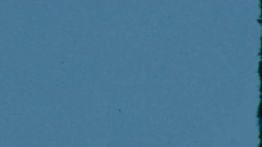 Bu örtüde 8mm 'lik bir klipten alınmış sessiz ve sıkıntılı bir mavi film dokusu var. Kir, toz parçacıkları ve eski ve yıpranmış görünümünü geliştiren ince bir giysiyle ayırt ediliyor.