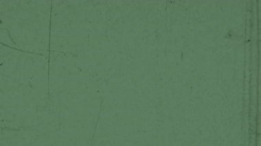 İnce tanecikler, dikey çizikler, dağınık toz ve hafif tonsal varyasyonlar içeren sessiz yeşil bir 8 mm film, otantik bir vintage estetik ödünç