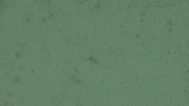 Yoğun desenli, doymuş yeşil 8 mm 'lik film yüzeyde belirgin koyu, düzensiz lekeler ve lekelerle karakterize edilir.