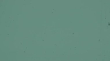 Otantik bir 8 mm 'lik film, içinde toz parçacıkları, dikey çizikler, benekli tahıllar ve birlikte titreyerek nostaljik, retro bir estetiği çağrıştıran, sönük yeşil bir renkle örtüşüyor.