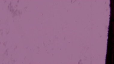 8 mm 'lik bir filmde belirgin tanecikler, dağınık dikey çizikler ve toz zerreleri ve sağ kenar boyunca biraz daha koyu, düzensiz bir sınır bulunur.