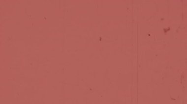 Klasik 8 mm 'lik filmi andıran desenli, klasik bir kaplama, yıllanmış film stoğunun hafif doymuş kırmızı renginde, hafif çizikler gibi ince kusurları olan bir karakter.