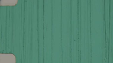 Belirgin yeşilimsi bir renkle çizilmiş 8 mm 'lik bir film şeridi, değişik yoğunluktaki çeşitli dikey çizikler yıpranmış bir arşiv hissi yaratırken düzensiz izler ve solgun renkler...