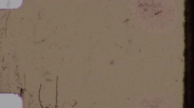 8 mm 'lik organik bir film yumuşak sarı bir alçı, hassas bir tahıl ve ince bir kenar ışık sızıntısı ile örtüşür. Sıcak, rüya gibi ve hafif sıkıntılı bir görsel doku ekler.