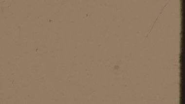 Bu 8 mm 'lik sarı film görülebilir tahıl ve gürültüyle zengin bir klasik dokuyu, nostaljik, eskimiş bir estetiği çağrıştıran sıcak bej tonlarını ve dağınık siyah lekeleri içerir.