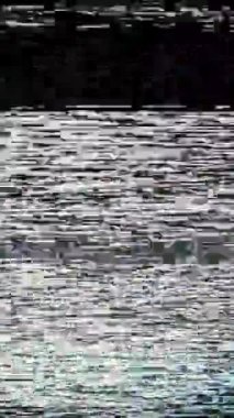 Klasik statik parazit, titreşen gürültü ve sinyal hatalarının yer aldığı, özgün analog bant titreşimini yakalayan nostaljik bir VHS klibi.