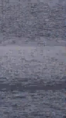 Titrek statik, analog gürültü ve nostaljik, klasik estetik için klasik arıza efektleri olan retro VHS tarzı bir video.