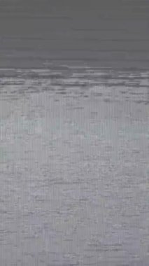 Özgün analog gürültüyü, titreşen sinyal parazitini ve nostaljik efekt için bozuk statik hatları içeren klasik VHS bant bozma