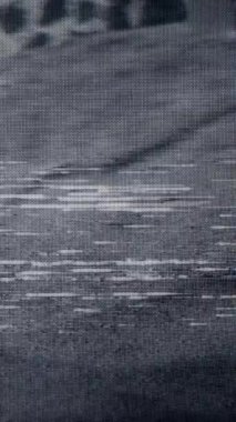 Yatay çizgiler ve antika estetik için özgün analog çarpıtma içeren kusursuz VHS bant statik döngü