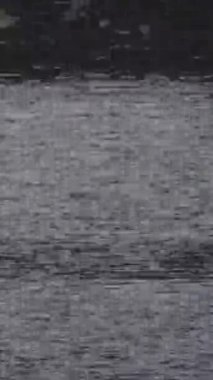 Analog VHS kaset görüntüleri titreşen statik çizgiler ve mavi ekran sonu ile klasik retro sinyal bozulması ve klasik vintage arıza efektleri yakalıyor