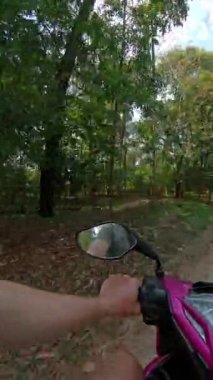 POV scooter, uzun sütun ağaçları ve bereketli tropikal bitkilerle dolu huzurlu ve canlı bir açık hava kaçışı sunan huzurlu bir doğa yolu boyunca ilerliyor.