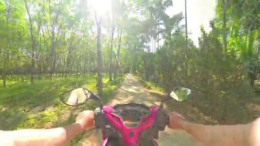 Sessiz bir orman yolunda süzülerek süzülen sakin bir scooter. Etrafı, yumuşak gün ışığında yıkanan yüksek sütun ağaçlarıyla çevrili.