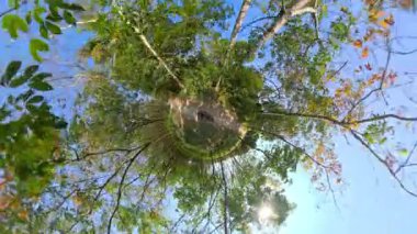 360 küçük gezegen manzaralı, canlı, gür tropikal yeşilliklerde sallanan bir scooter gezintisi, büyüleyici doğa titreşimlerini ve macerayı yakalıyor.