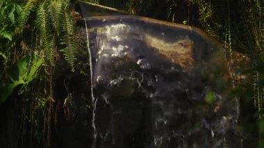 Serin bir şelale, kelebek parkındaki yemyeşil şelalenin ortasında yavaşça süzülür ve canlı bitkilerle çevrili huzurlu bir vaha yaratır.