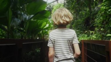 Genç bir çocuk, canlı yeşil bitkiler ve yükselen yapraklarla çevrili, huzurlu, doğal atmosferde sırılsıklam, yemyeşil bir konservatuarda sessizce dolaşır.