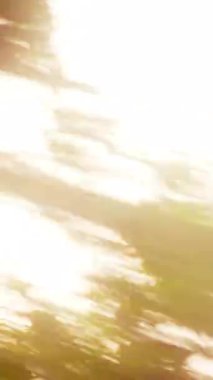Hızlı bir POV sürücüsü, parlak güneş ışığıyla yemyeşil bir ormanda ağaçları delip geçiyor ve hareket bulanıklığı dinamik, sinematik bir hız hissi ekliyor.