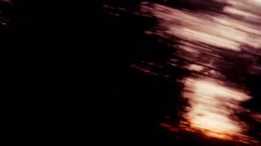 POV hızlı bir şekilde ağaç siluetlerini geçiyor, canlı gündoğumu renklerine karşı dizilmiş, sabahın erken saatlerindeki enerji ve güzelliği yakalıyor.