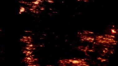 Orman siluetlerinde hızlı hareket. Parlak güneş ışığı içinden akıyor. Işığın ve gölgenin canlı bir kontrastını oluşturuyor.