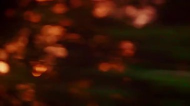 Altın güneş ışığı ve Bokeh, siluetli orman ağaçlarının arkasında parıldıyor. Sıcak ve büyüleyici bir atmosfer yaratıyor.