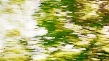 Hareketli, bulanık yeşil ağaçlar ve sıcak güneş ışığıyla huzurlu bir POV yolculuğu yolculuğun rahatlatıcı güzelliğini yakalıyor.