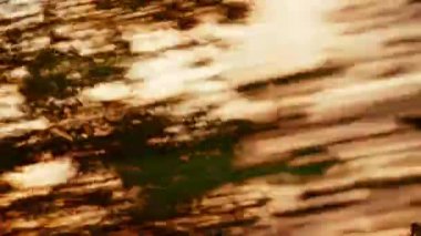 Güneş doğarken parlak turuncu gökyüzüne karşı çerçevelenmiş karanlık siluetli ağaçlarla dolu bir ormanın içinden geçen bir POV.