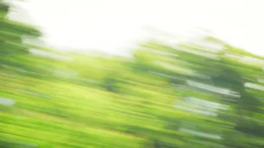 Huzurlu manzaralı bir sürüş sırasında hızla geçen yemyeşil ağaçların dinamik, canlı bir görüntüsü, güzel bir hareket bulanıklığı efektiyle yakalandı.