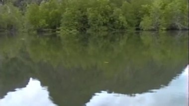 Bu VHS görüntülerinde Phuket, Tayland 'da sakin bir nehirdeki teknenin huzurlu, göz hizasında bir görüntüsü var. Canlı, yeşil, ağaçlarla kaplı bir nehir yatağı ihtişamlı, yuvarlanan bir arka planda sergileniyor.