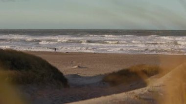 Yalnız bir figür kıyıda sessizce durur, dalgalanan deniz dalgalarını seyreder kıyı otları rüzgarda hafifçe sallanırken