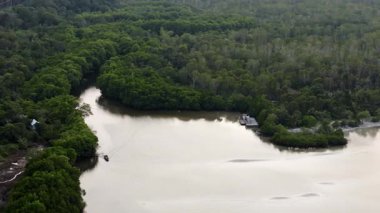 Kamboçya 'daki sık mangrov ormanlarından geçen bir kıyı nehri gösteren hava aracı görüntüleri bölgenin verimli tropikal manzarasını vurguluyor.