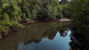 İnsansız hava aracı, tropikal kıyı manzarasında yoğun yeşil mangrovlarla çevrili sakin estuarin sularının üzerinde süzülüyor.