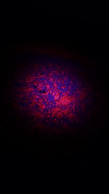 Pembe ve mavi sıvı soyut dokular içeren bir sabun köpüğünün makro çekimi, kıvrımlı hareket ve yanardöner renk rüya gibi, sanatsal bir etki yaratır.