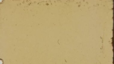 Klasik 8mm stop-motion animasyonundan basit ama görsel olarak bağlanan bir çerçeve, soluk yeşil üst sağ bölüm ile açık kahverengi sol bölüm arasında temiz bir köşegen bölümü gösterir.