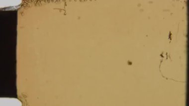 8mm 'lik stop motion animasyon çerçevesi yumuşak pastel tonlar arasında çarpıcı çapraz bir bölünme sergiliyor, üst sağ üst kısımda sessiz yeşil ve alt kısımda sıcak sarı renkte.