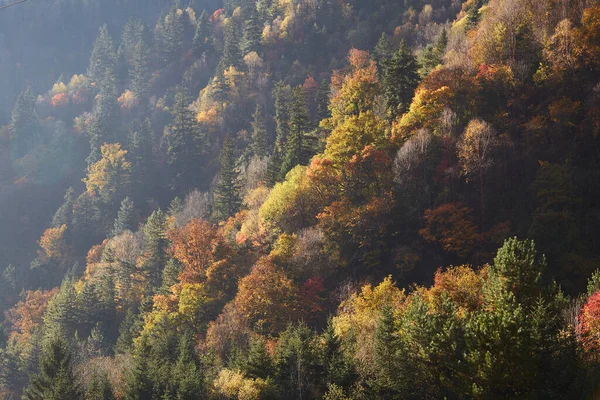 Autumn Mountains — Stock Photo, Image