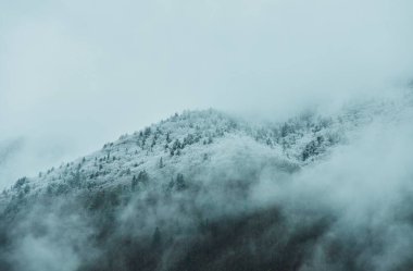 Dağların güzel manzarası 