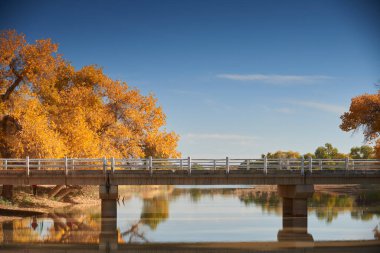 Parkın güzel manzarası 